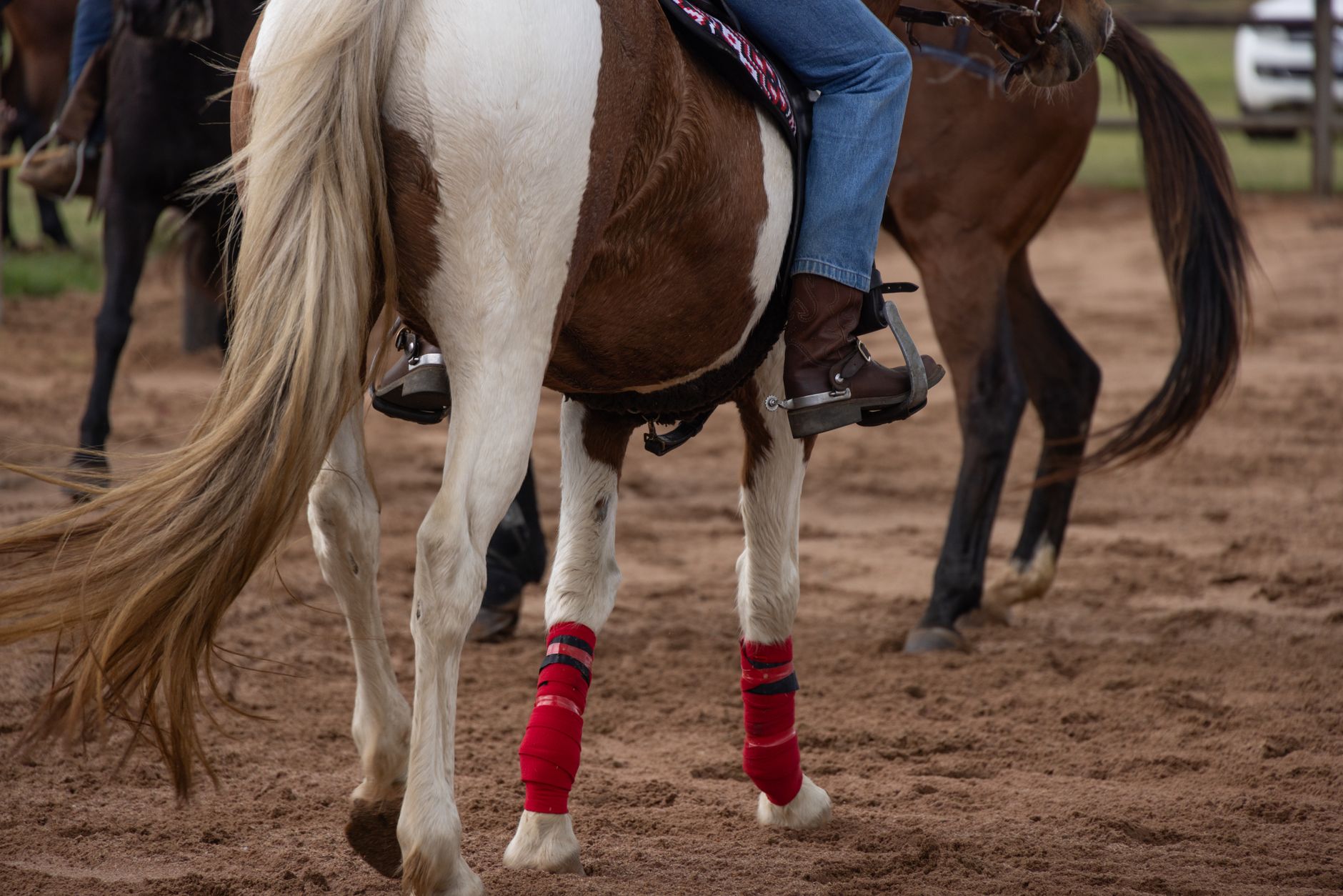 AQHA World Entries Close Sept. 15