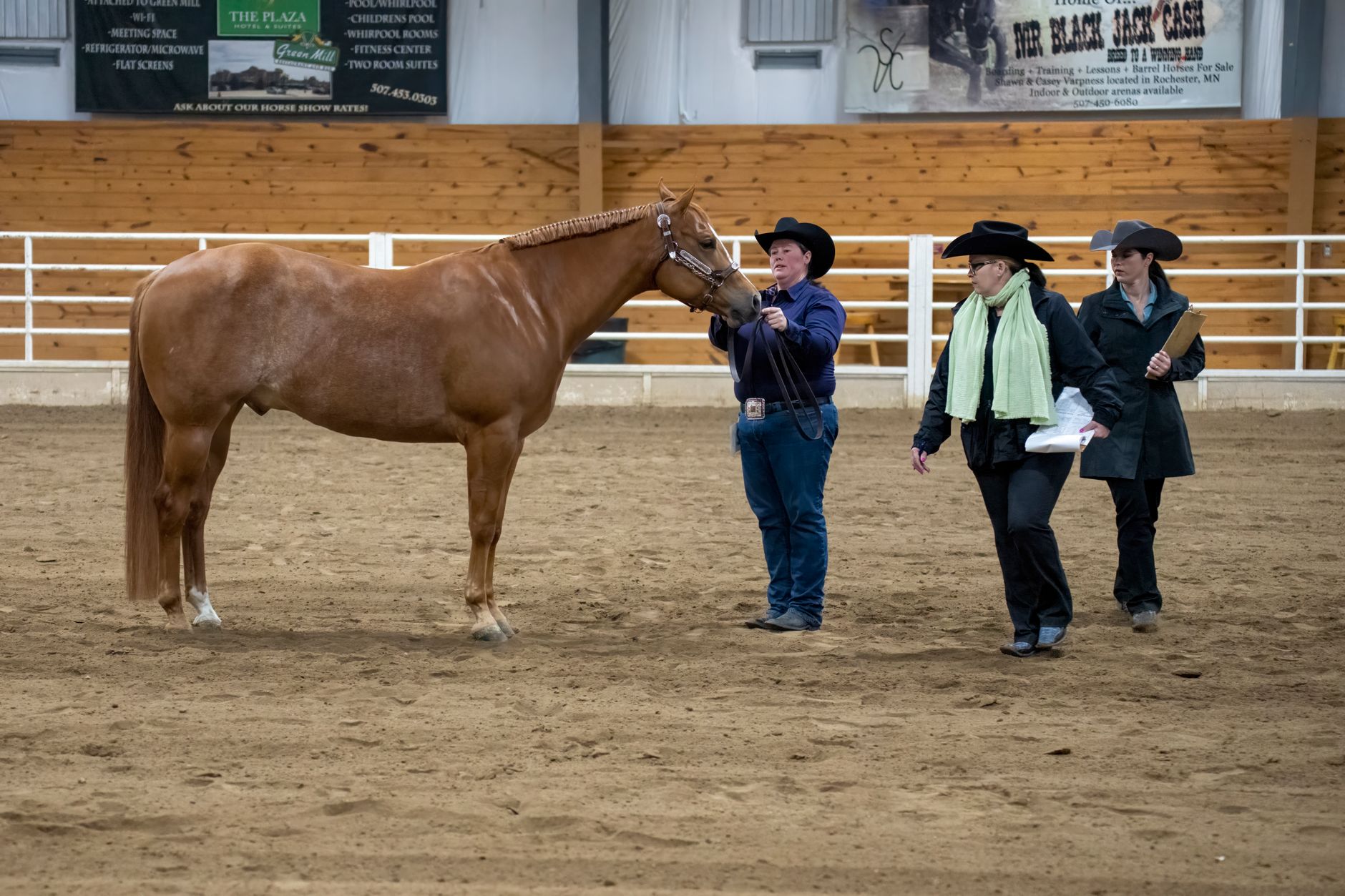 Million-Dollar Milestones and a Sire That Proved His Worth at the Futurity