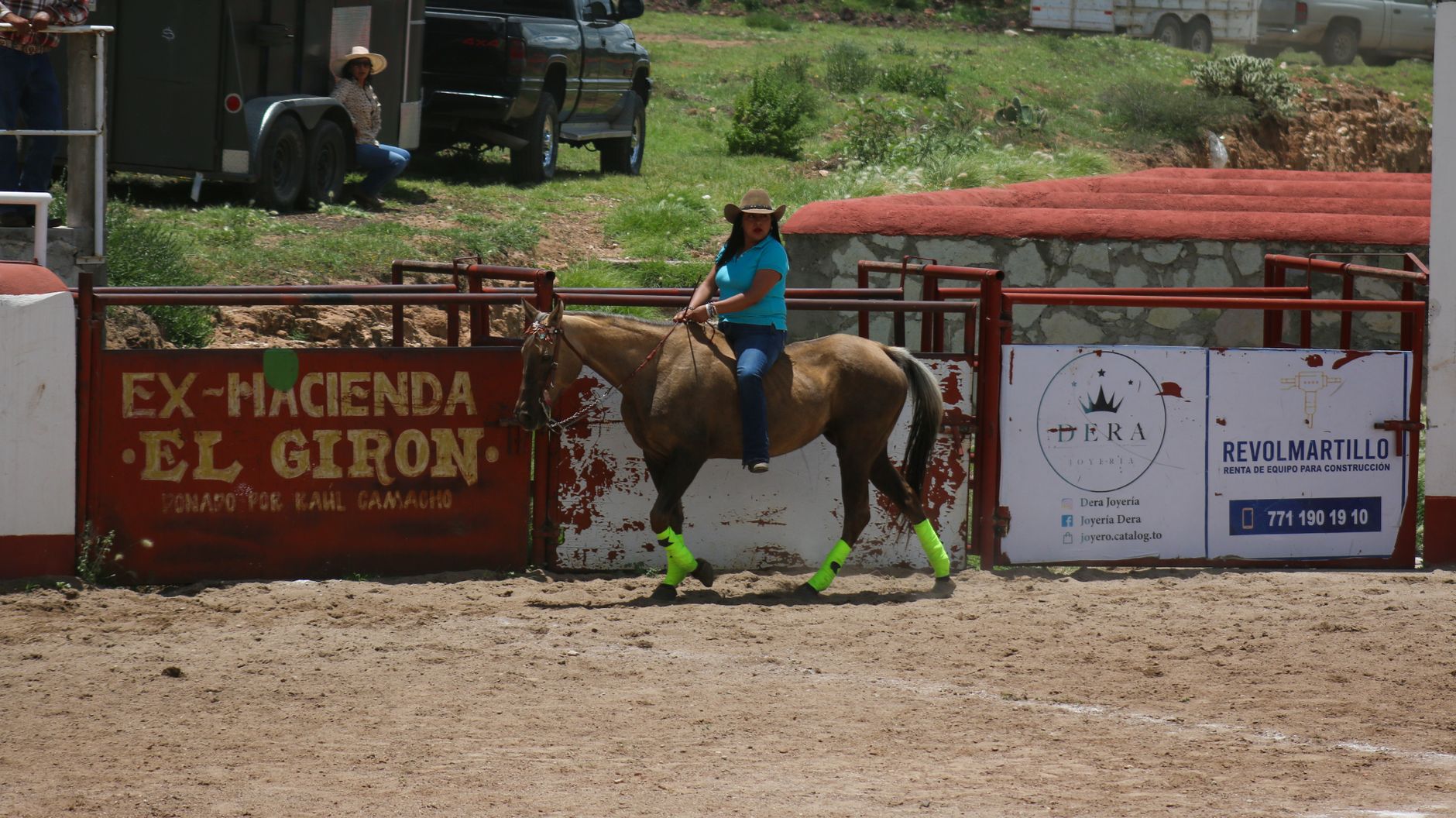 2026 AQHA World Show Judges Are Named — Start Studying Now